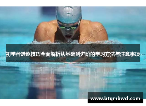 初学者蛙泳技巧全面解析从基础到进阶的学习方法与注意事项