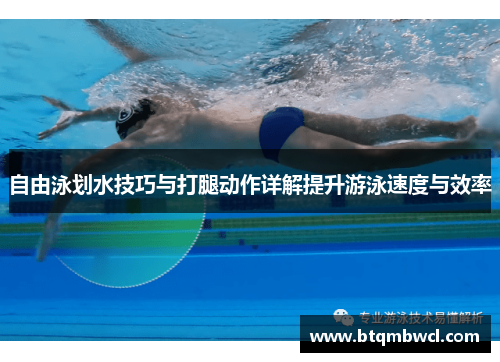自由泳划水技巧与打腿动作详解提升游泳速度与效率