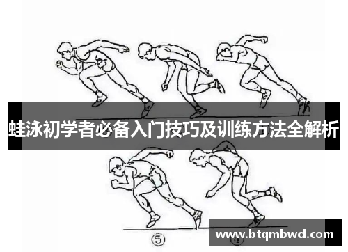 蛙泳初学者必备入门技巧及训练方法全解析