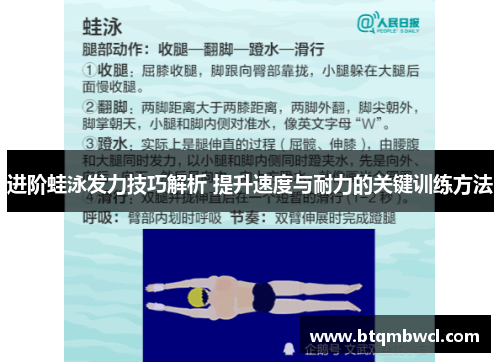 进阶蛙泳发力技巧解析 提升速度与耐力的关键训练方法